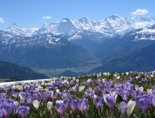 Beatenberg Tourismus