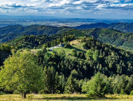 Münstertal-staufen Kälbelescheuer