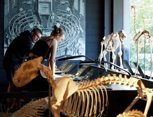 KULTURAMA Museum des Menschen