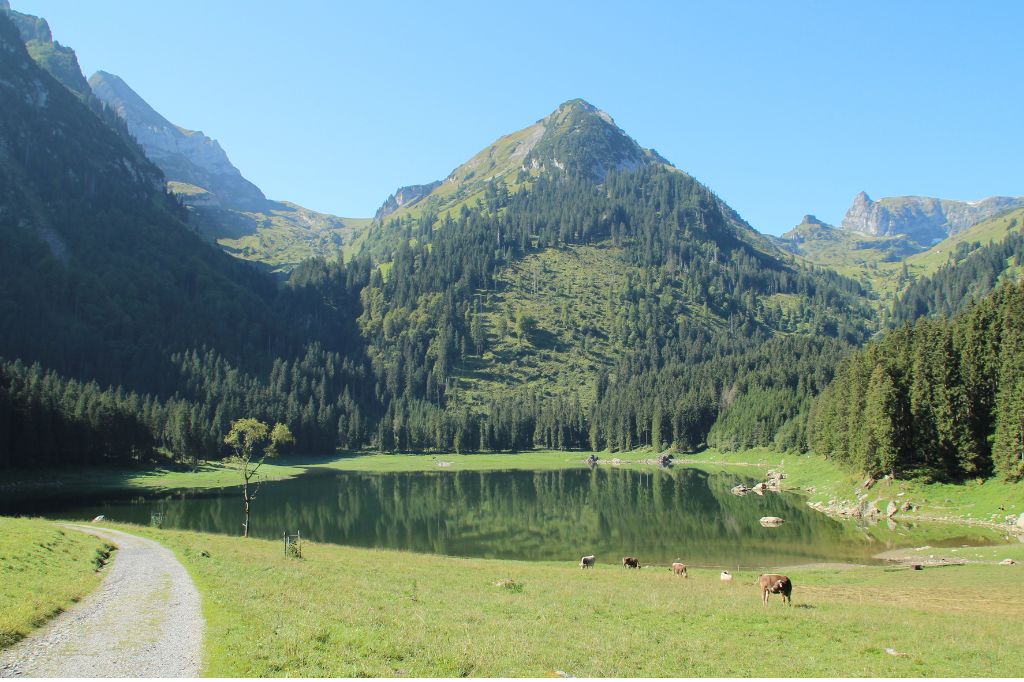 Ausflugsziele Seen Schweiz - Voralpsee graps st.gallen - Adrian Michael