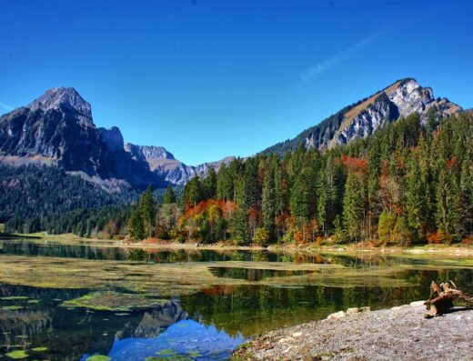 Obersee Näfels – der schönste Geheimtipp im Glarnerland