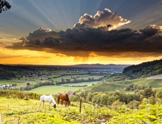 GLOTTERTAL – Urlaubsvielfalt im Südschwarzwald