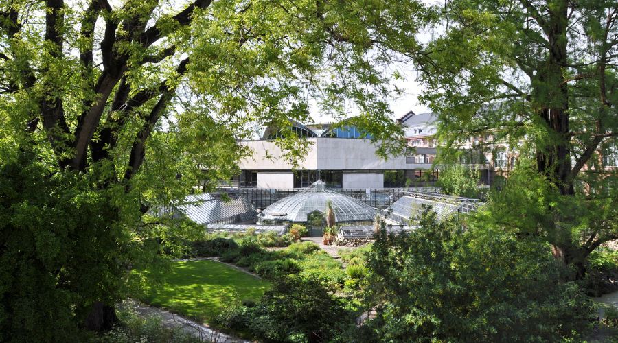 Botanischer Garten Basel 900x500 sicht auf botanischer garten