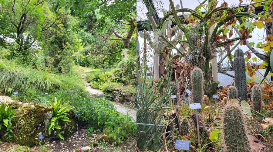 Botanischer Garten Bern Fotocredit BOGA Bern
