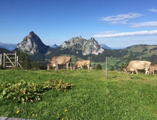 Zwei Tage Natur- und Wandererlebnis Mythen