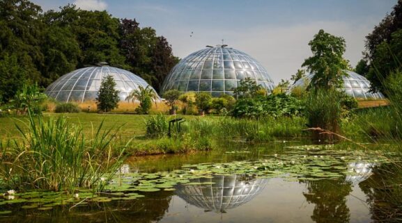 botanischer garten Gewächshäuser zürich