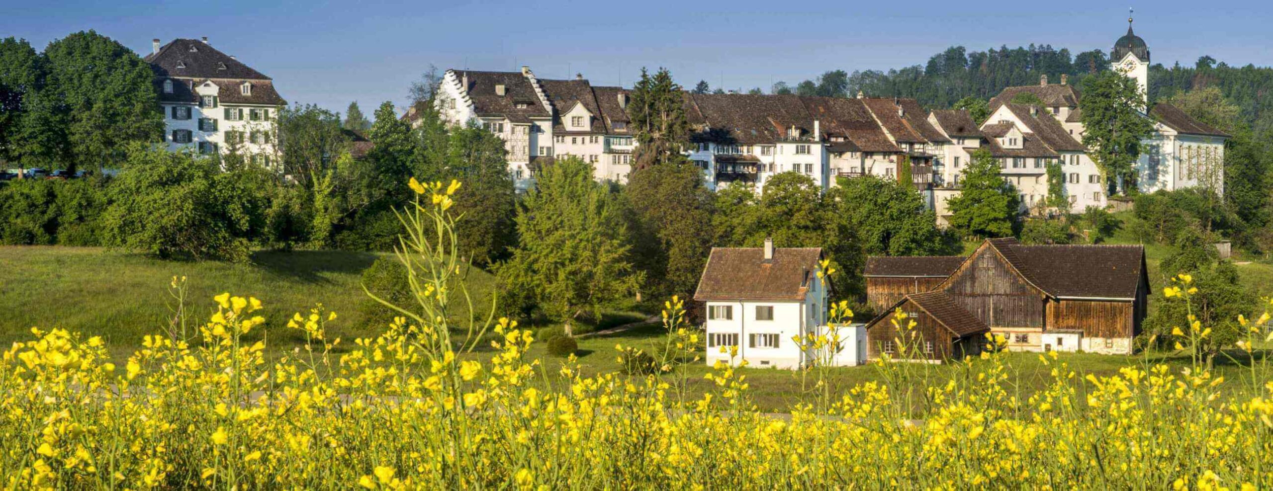 Gemeinde Grüningen